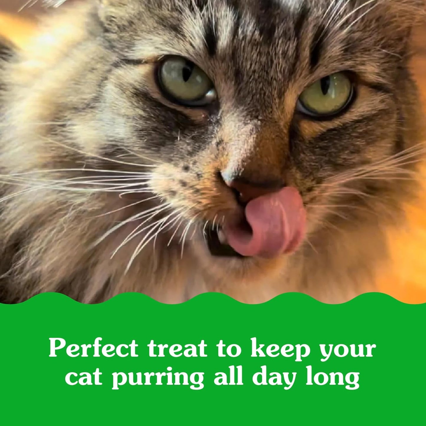 Feline Smartbites Hairball Control for Cats Chicken Flavor 16Oz