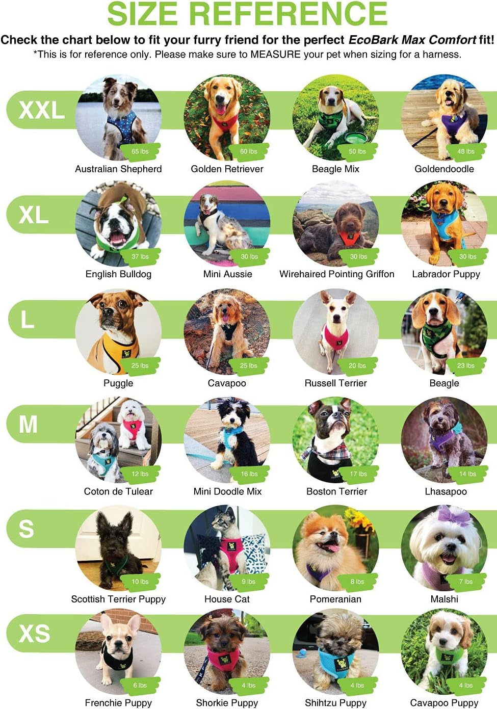 Dog Harness - Eco-Friendly Max Comfort Harnesses - Luxurious Soft Mesh Halter - over the Head Harness Vest- No Pull and No Choke for Puppy, Toy Breeds & Small Dogs (Medium, Blue)