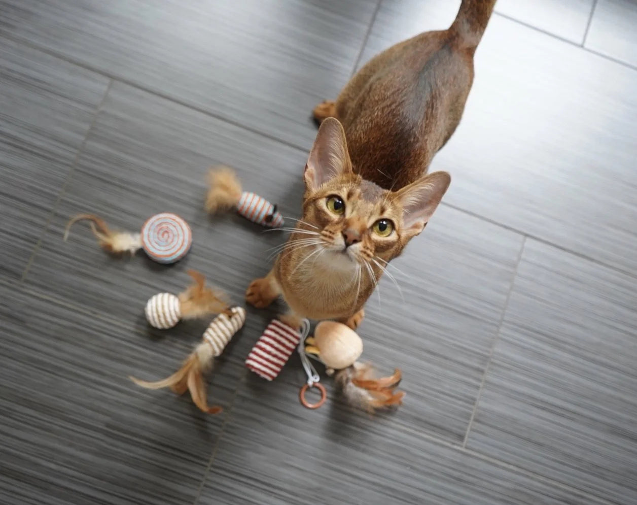 Cat Feather Toys, Cattoy for Smartycat Interactive Cat Toys, Wands Teaser and Exerciser for Cat Kitten with Mouse Toy, Bell, Feather, Elastic String, and Wood Rod, Set of 7.