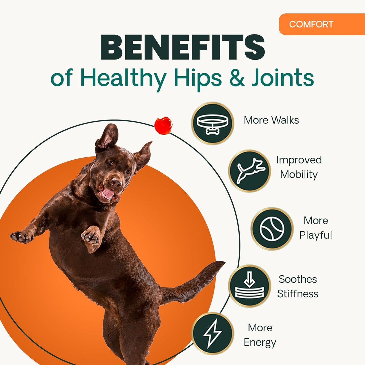 Ultimate Strength Healthy Hip & Joint Chewable Tablets, Glycoflex Glucosamine, Chondroitin and Green-Lipped Mussel Joint Supplement for Dogs, Soothe Joint Discomfort, Chicken, 120 Count