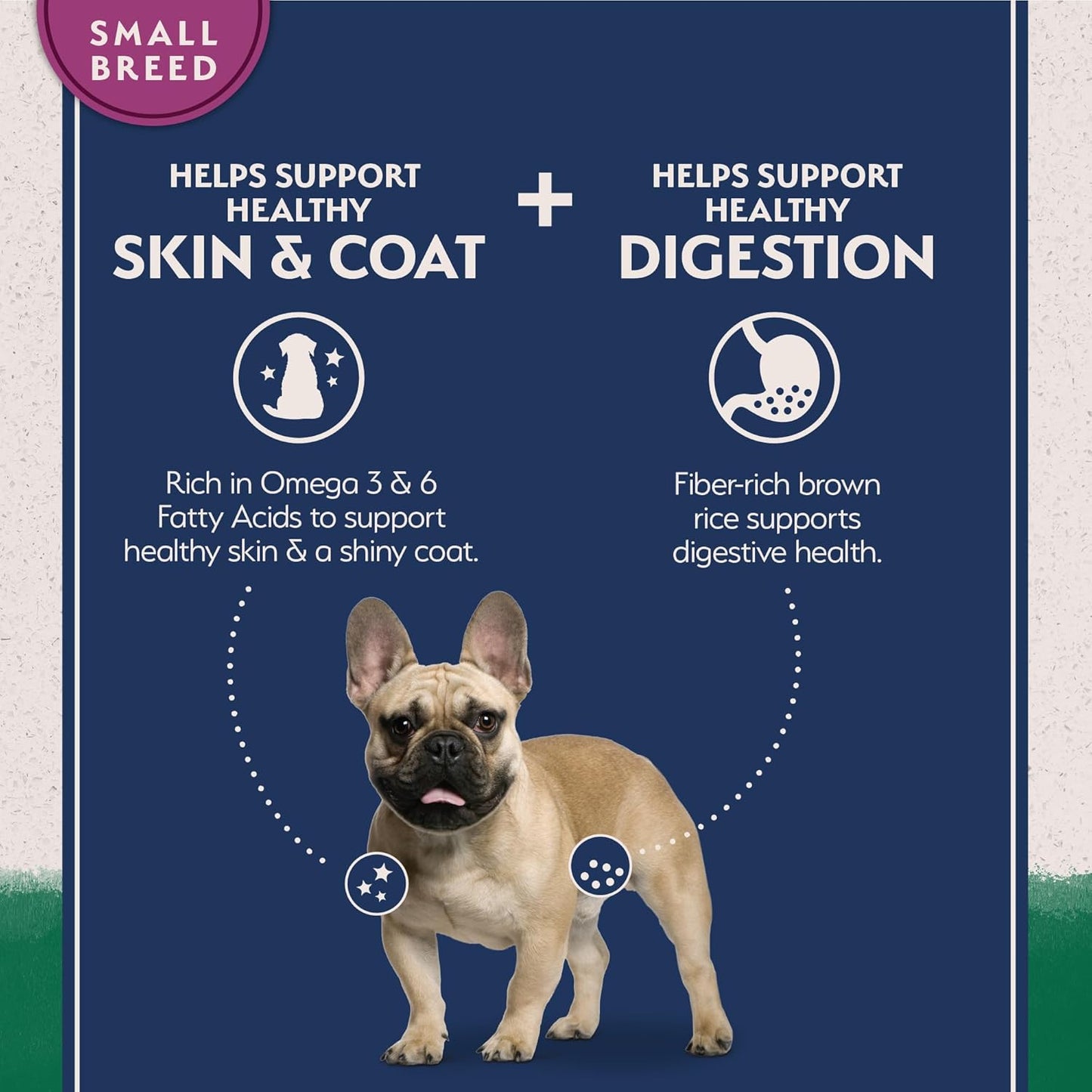Limited Ingredient Small-Breed Adult Dry Dog Food with Healthy Grains, Lamb & Brown Rice Recipe, 4 Pound (Pack of 1)