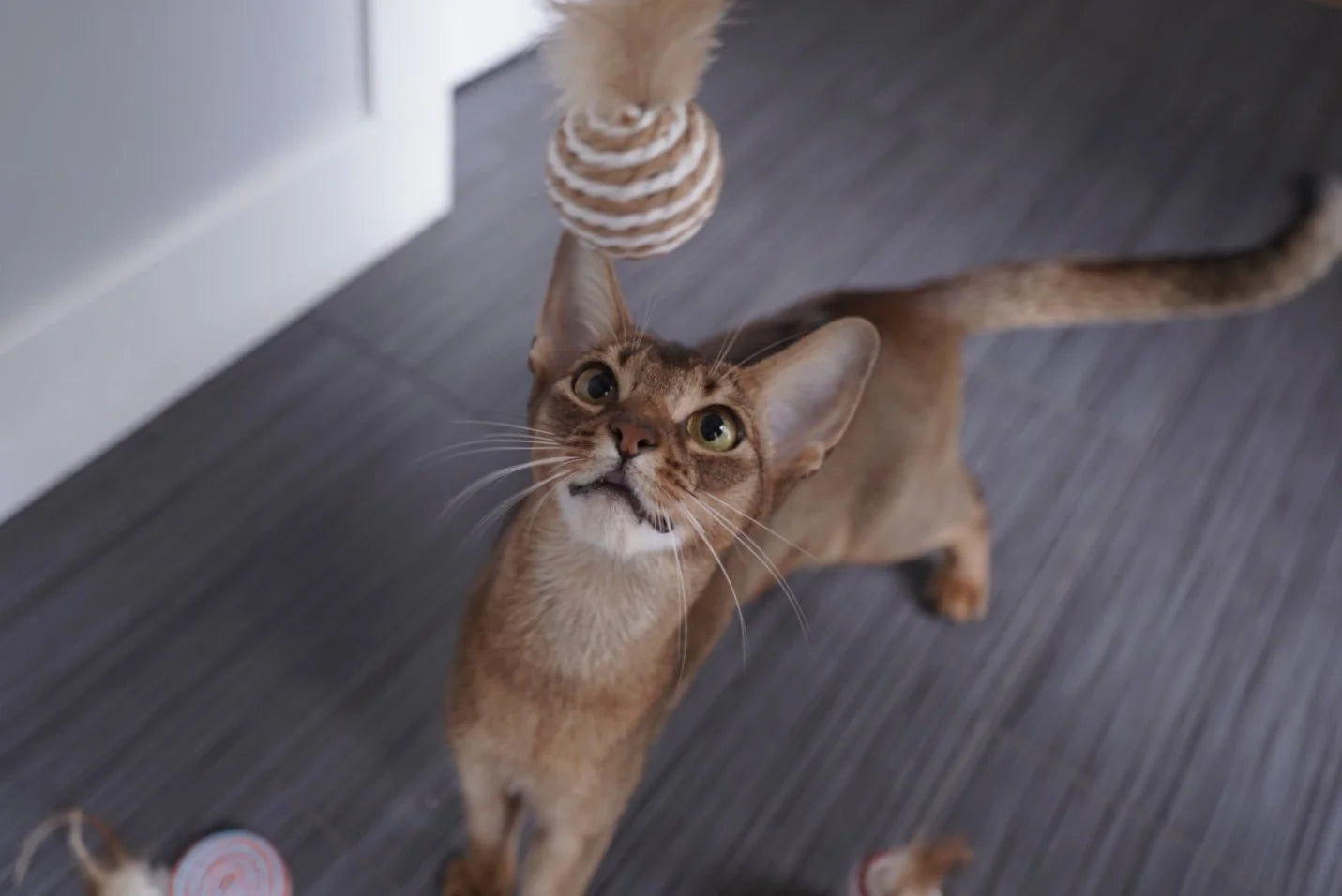 Cat Feather Toys, Cattoy for Smartycat Interactive Cat Toys, Wands Teaser and Exerciser for Cat Kitten with Mouse Toy, Bell, Feather, Elastic String, and Wood Rod, Set of 7.