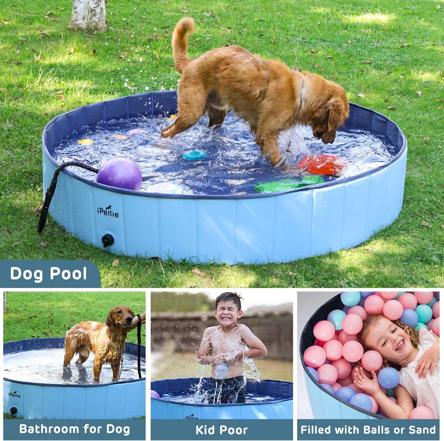 Foldable Dog Pool, Collapsible Dog Pool, Dog Swimming Pools for Large Dogs, Kiddie Pool for Dogs, Cats & Kids, Blue, Size XXL, 63" X 12"