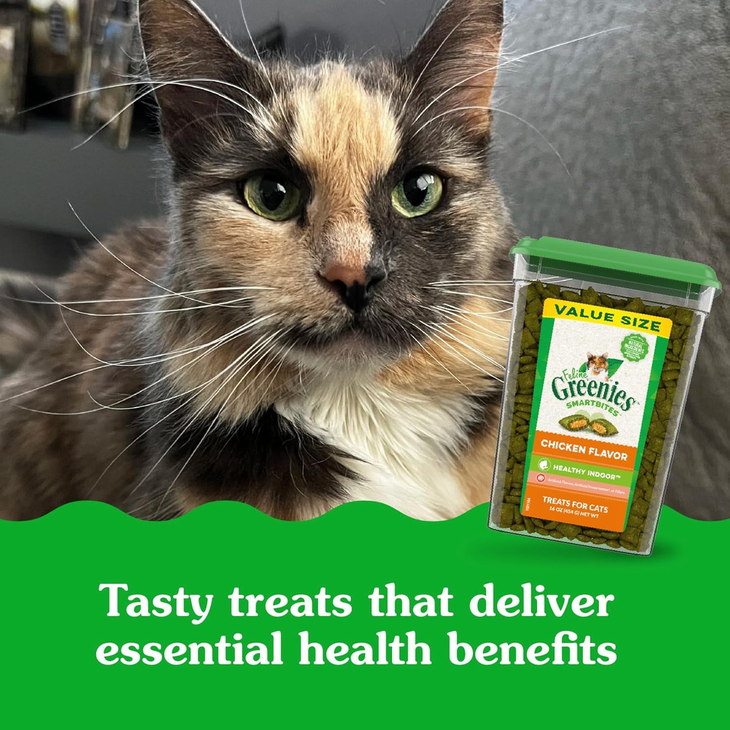 Feline Smartbites Hairball Control for Cats Chicken Flavor 16Oz