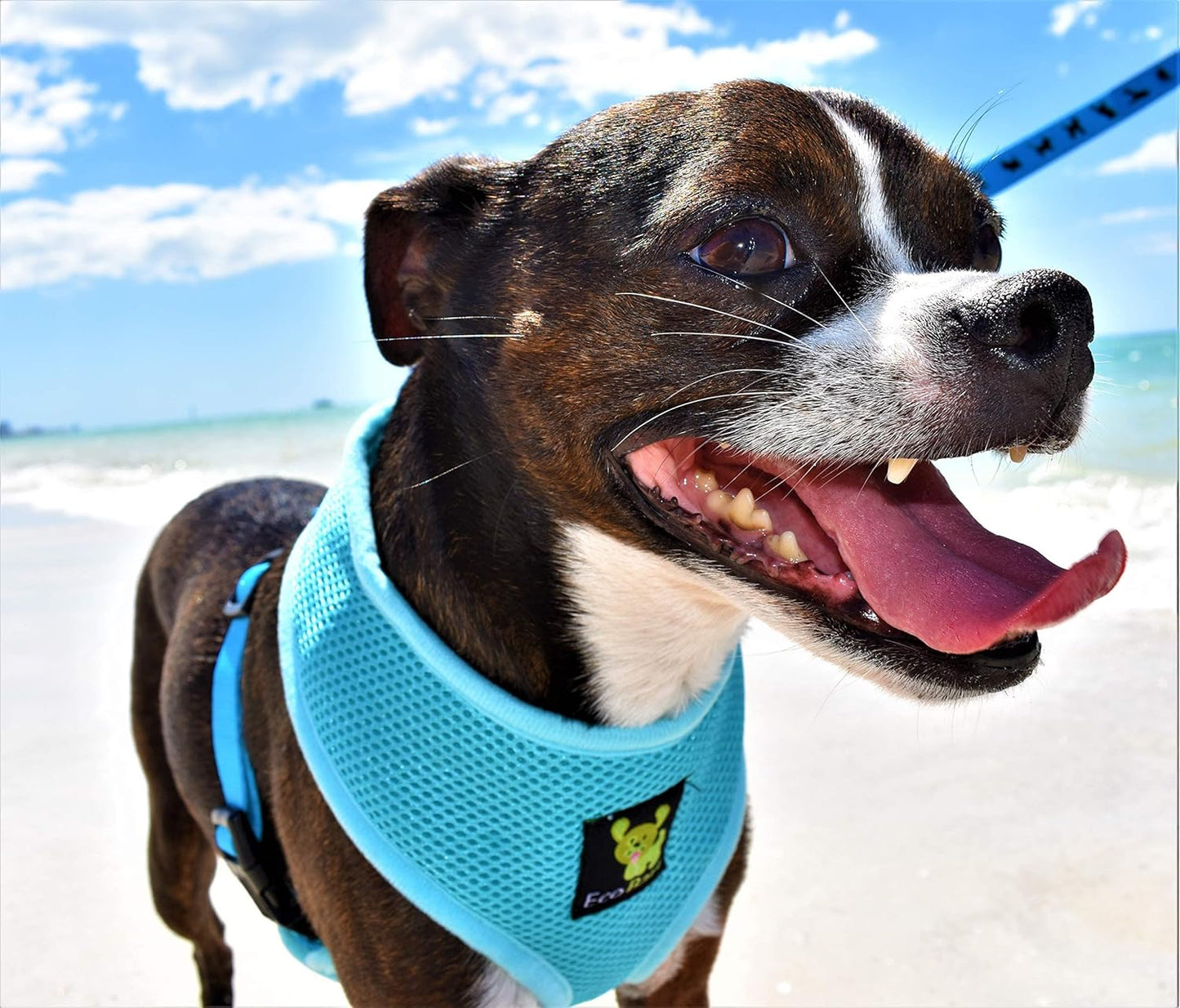 Dog Harness - Eco-Friendly Max Comfort Harnesses - Luxurious Soft Mesh Halter - over the Head Harness Vest- No Pull and No Choke for Puppy, Toy Breeds & Small Dogs (Medium, Blue)