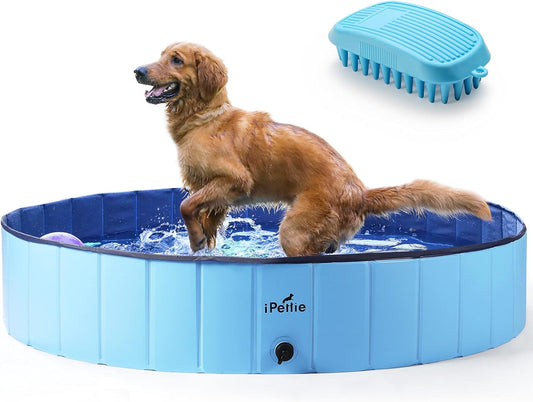 Foldable Dog Pool, Collapsible Dog Pool, Dog Swimming Pools for Large Dogs, Kiddie Pool for Dogs, Cats & Kids, Blue, Size XXL, 63" X 12"